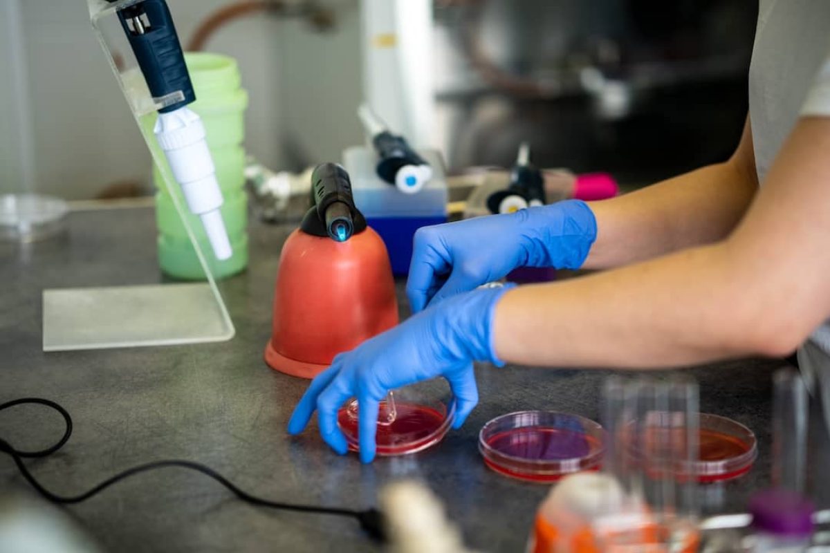 Genetic Secrets of Longevity: Study Identifies Key Genetic Markers Associated with Healthy Aging